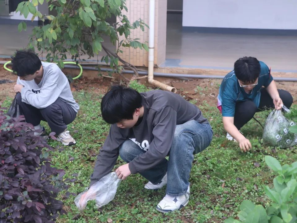 新老澳门香港原料网站