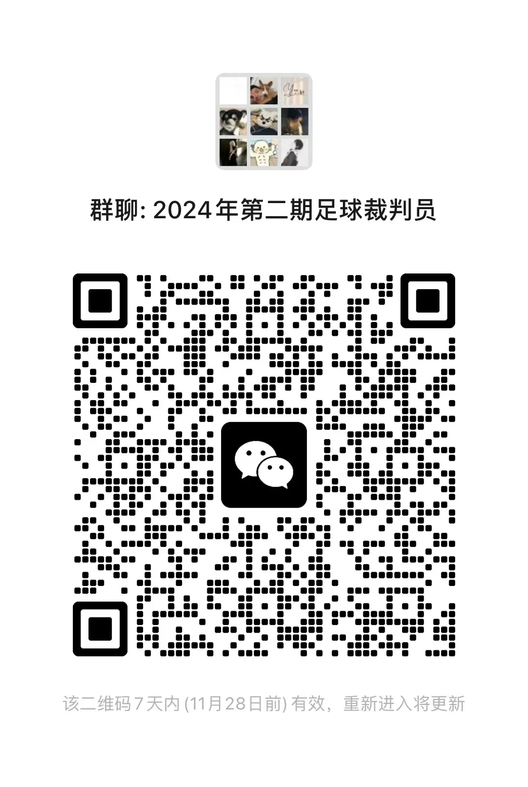 新老澳门香港原料网站
