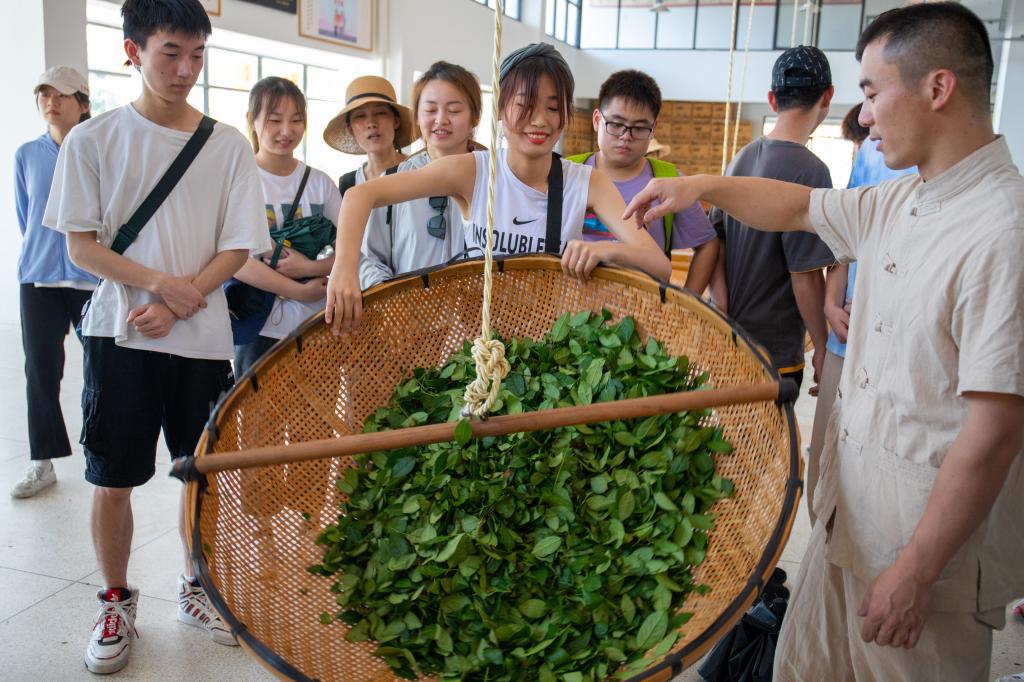 新老澳门香港原料网站