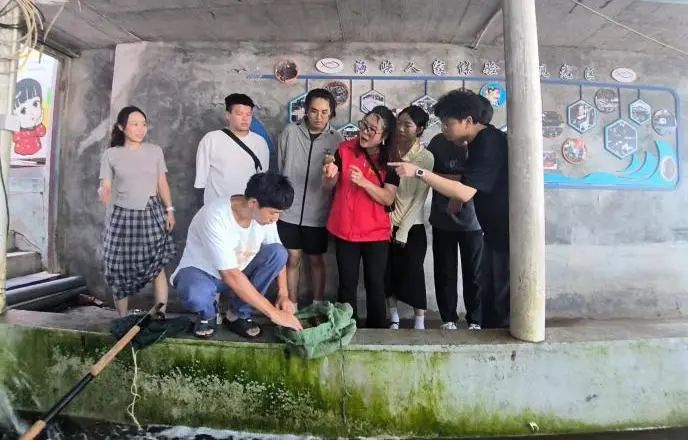 新老澳门香港原料网站