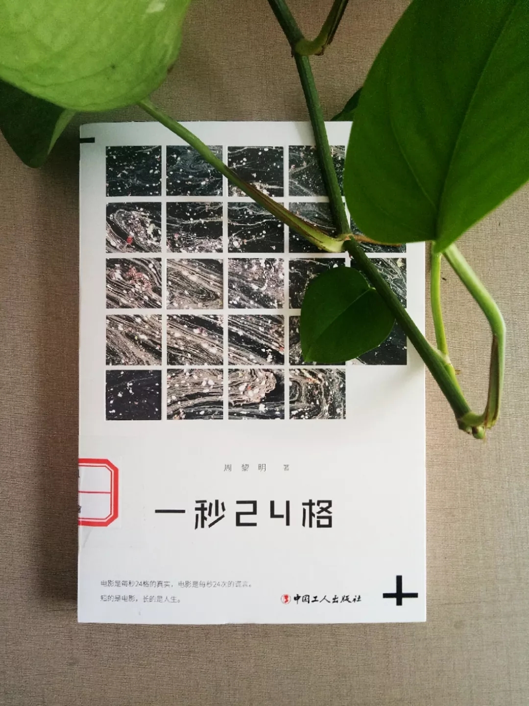 新老澳门香港原料网站